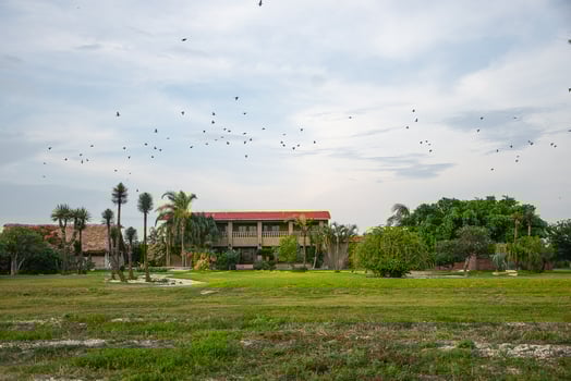 Lodge photo for Premier Mexican Dove Hunts