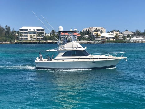 Boat photo for Light Tackle And Bottom Fishing