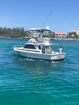 Boat photo for Light Tackle And Bottom Fishing