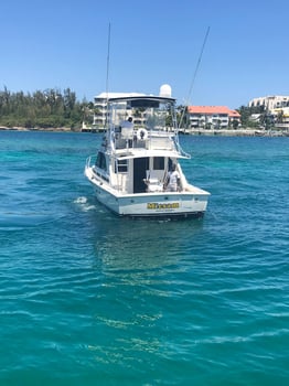 Boat photo for Light Tackle And Bottom Fishing