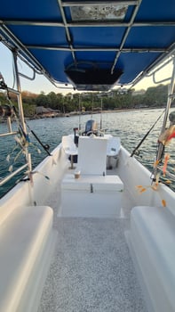 Boat photo for Puerto Escondido Deep Sea Fishing