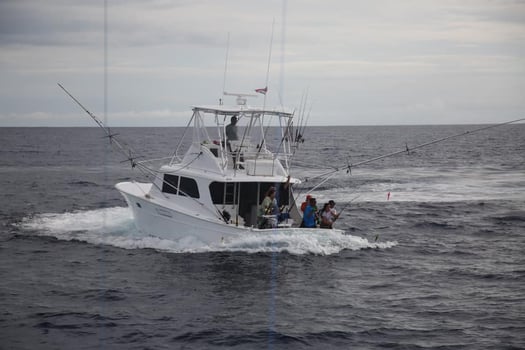 Boat photo for Los Sueños Roosterfish