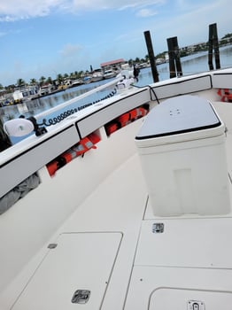 Boat photo for Hidden Gems Of The Dry Tortugas