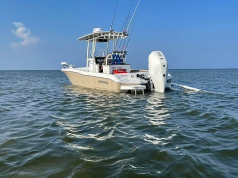 Boat photo for 6 Hour Inshore/Nearshore