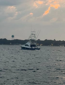 Boat photo for 4 Hour Beginner Trip