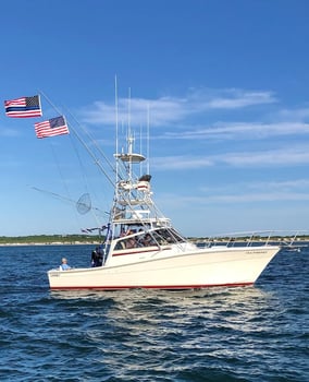 Boat photo for 1/2 Day 4hr Inshore Striped Bass PM