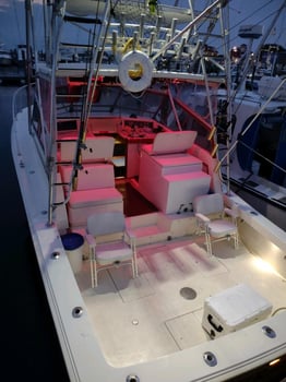 Boat photo for 1/2 Day 4hr Inshore Striped Bass PM