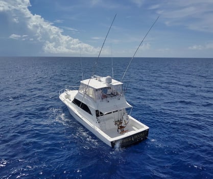 Boat photo for 36 HR Deep Sea 55' Viking W/ Chef