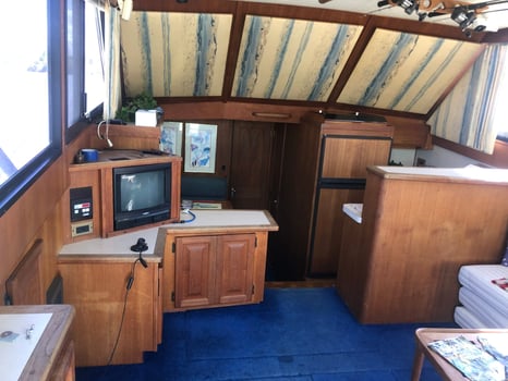 Boat photo for Lake Erie Premium Walleye Trip