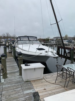 Boat photo for Lake Michigan Trolling Trips