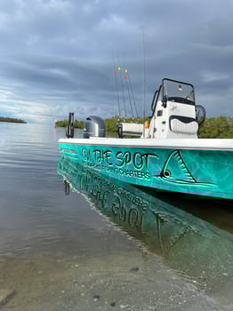 Boat photo for Tampa Bay Inshore Action!!!