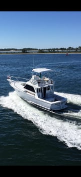 Boat photo for 4 Hour Bay/5 Hour Gulf Shark Trips