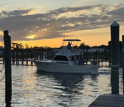 Boat photo for 4 Hour Bay/5 Hour Gulf Shark Trips