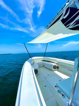 Boat photo for Luxury Trolling, Kites, Bottom Fish