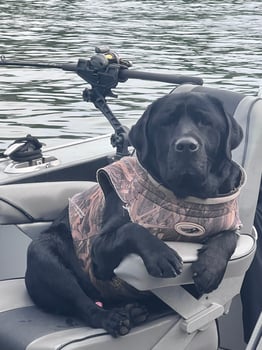 Boat photo for Willamet Spring Chinook