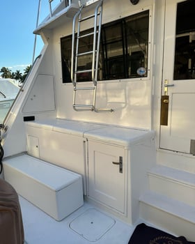 Boat photo for Offshore Adventure With Capt Nelson