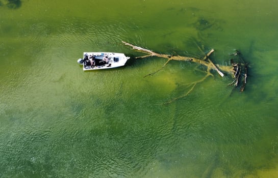 Boat photo for Big Manistee Guide Trip
