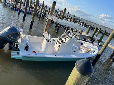 Boat photo for 5-8 Hour Fishing Trip