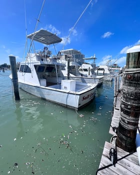 Boat photo for Trolling Trips