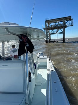 Boat photo for Shark Hunt