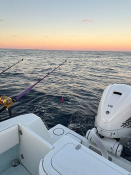 Boat photo for Galveston Offshore Adventure