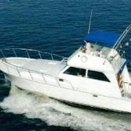 Boat photo for 8 Hr Fishing For Up To 8 People  