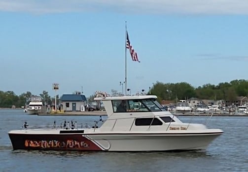 Boat photo for Full Day 7 Hour Trip