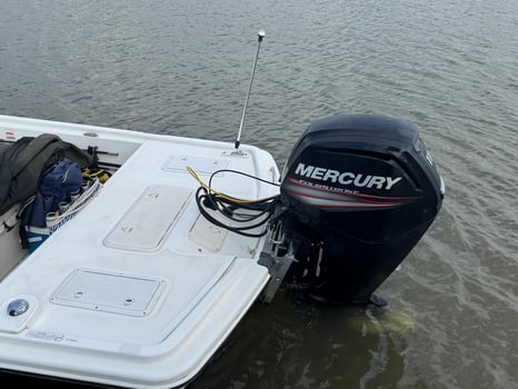 Boat photo for Napa River Fishing Charters