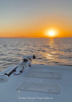 Boat photo for Napa River Fishing Charters