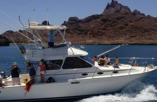 Boat photo for Best Damn Fishing In San Carlos