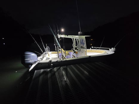 Boat photo for Lake Lanier Fishing Trip