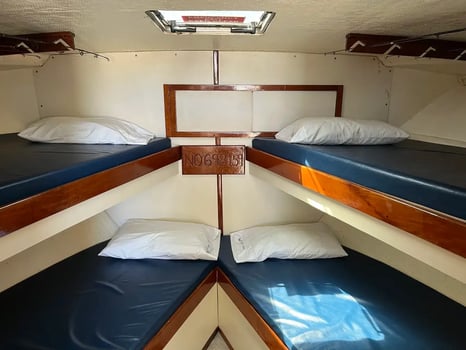 Boat photo for Bottom Fishing  Trips - CH