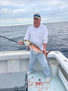 Boat photo for Offshore