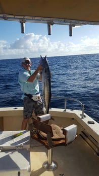 Boat photo for All Day Adventure