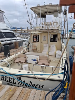Boat photo for  8 Hour South Padre