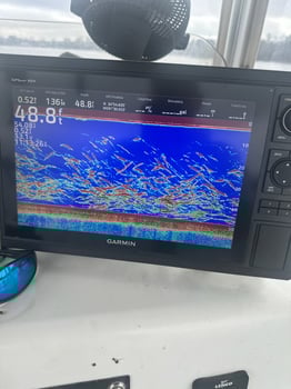 Boat photo for Striper Fishing Lake Murray SC