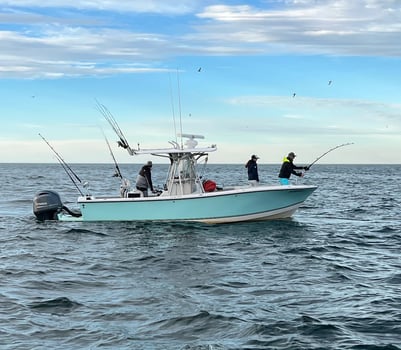 Boat photo for Tuna Trip - 26'  Regulator