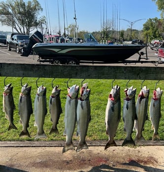 Boat photo for Walleye Trips