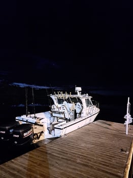 Boat photo for Half Day Trip – Nearshore