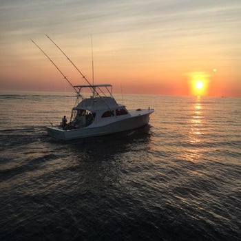 Boat photo for Half Day Nearshore Trip