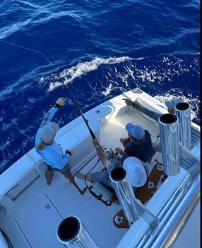 Boat photo for A'u Nui 40' Cabo
