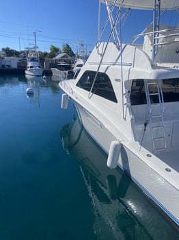 Boat photo for A'u Nui 40' Cabo
