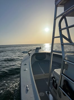 Boat photo for Tarpon Half Day (4hr)