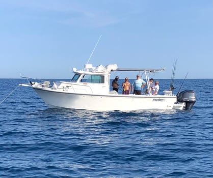 Boat photo for 10 Hour