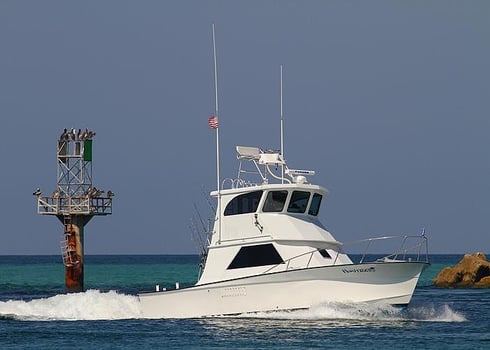 Boat photo for Full Day & Extended Offshore Trips