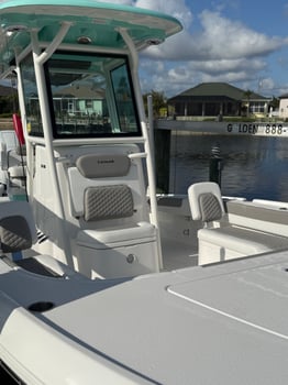 Boat photo for 8 Hours Inshore