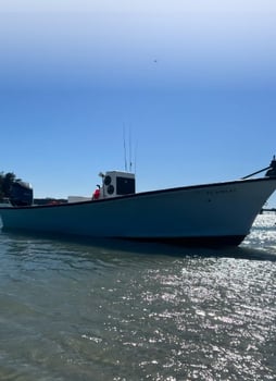 Boat photo for Anna Maria Tarpon Trip