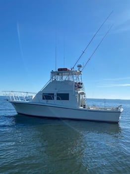Boat photo for Biloxi 6-Hour Classic