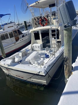 Boat photo for Biloxi 6-Hour Classic
