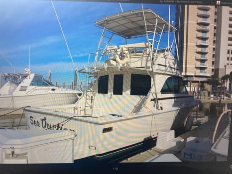 Boat photo for Destin Fishing Charter Federal Boat
